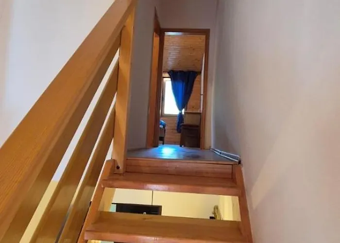 Viktory Ii ヴラシチ