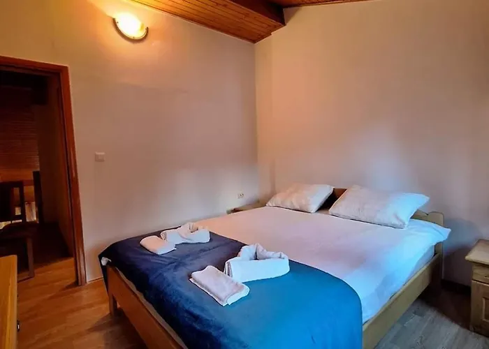 Viktory Ii * ヴラシチ